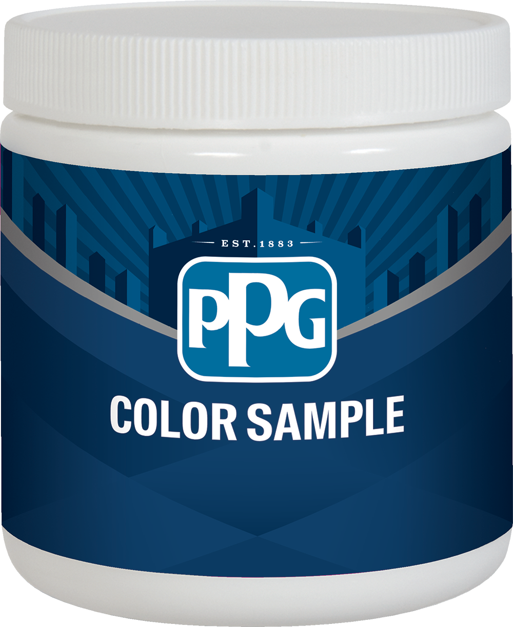 PPG Color Samples 16oz